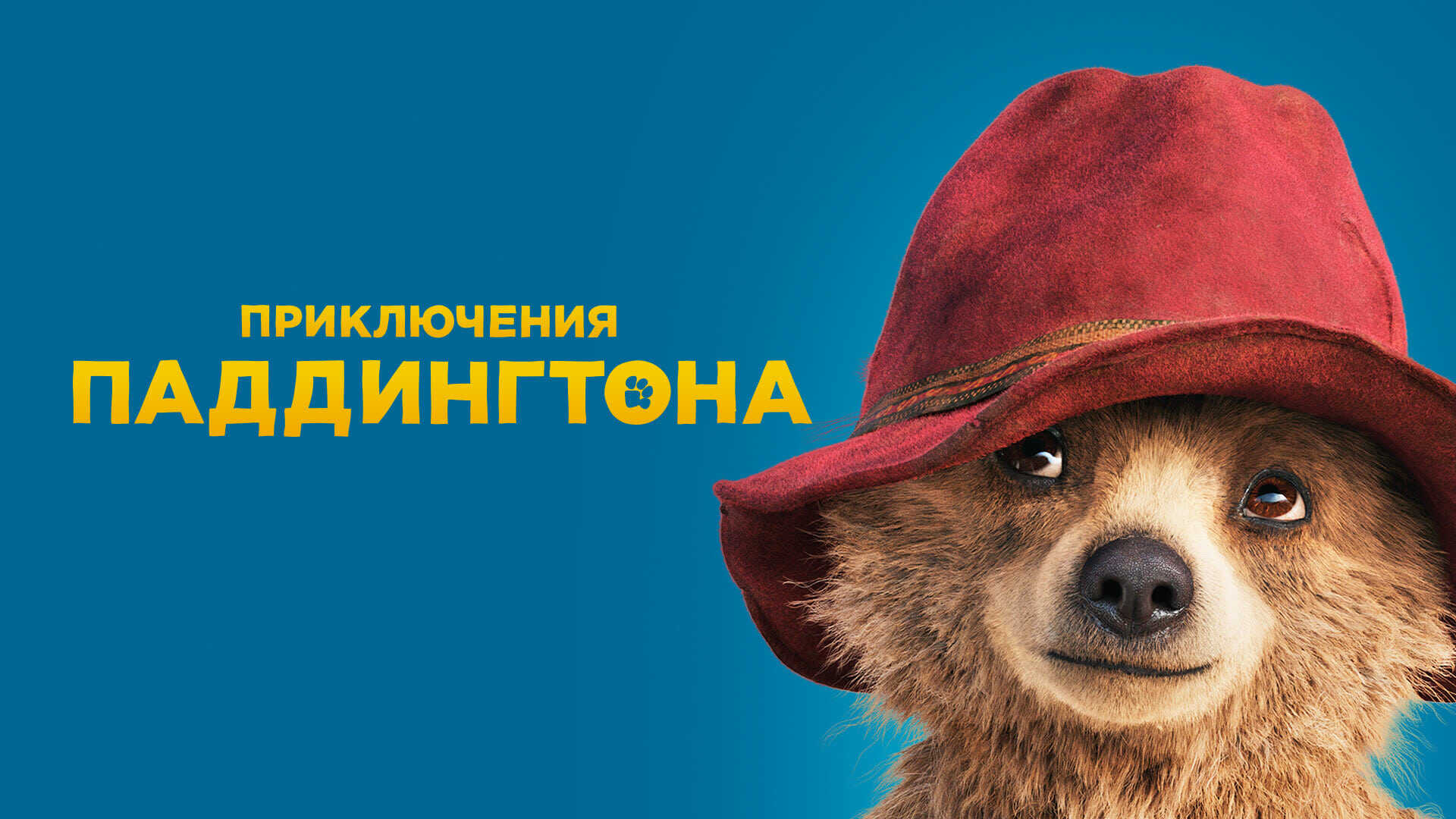Paddington 3