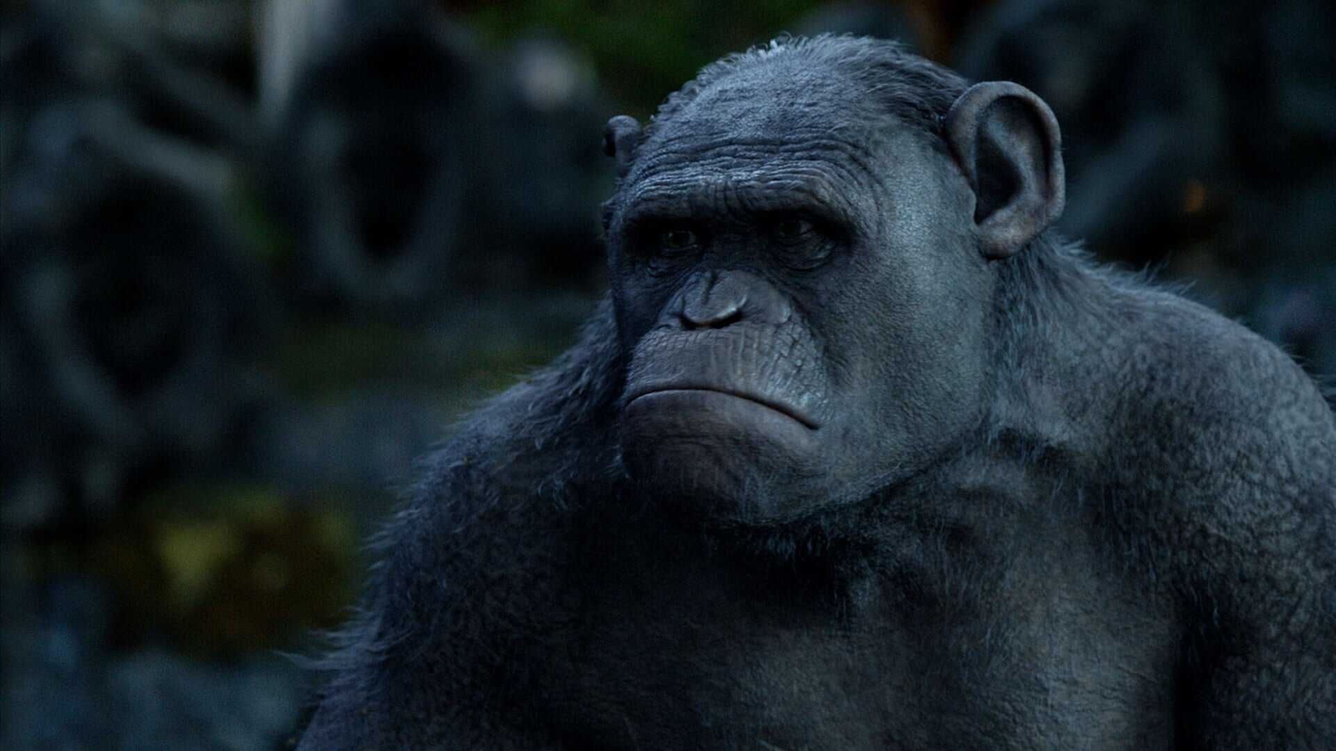 Dawn of the Planet of the Apes 2