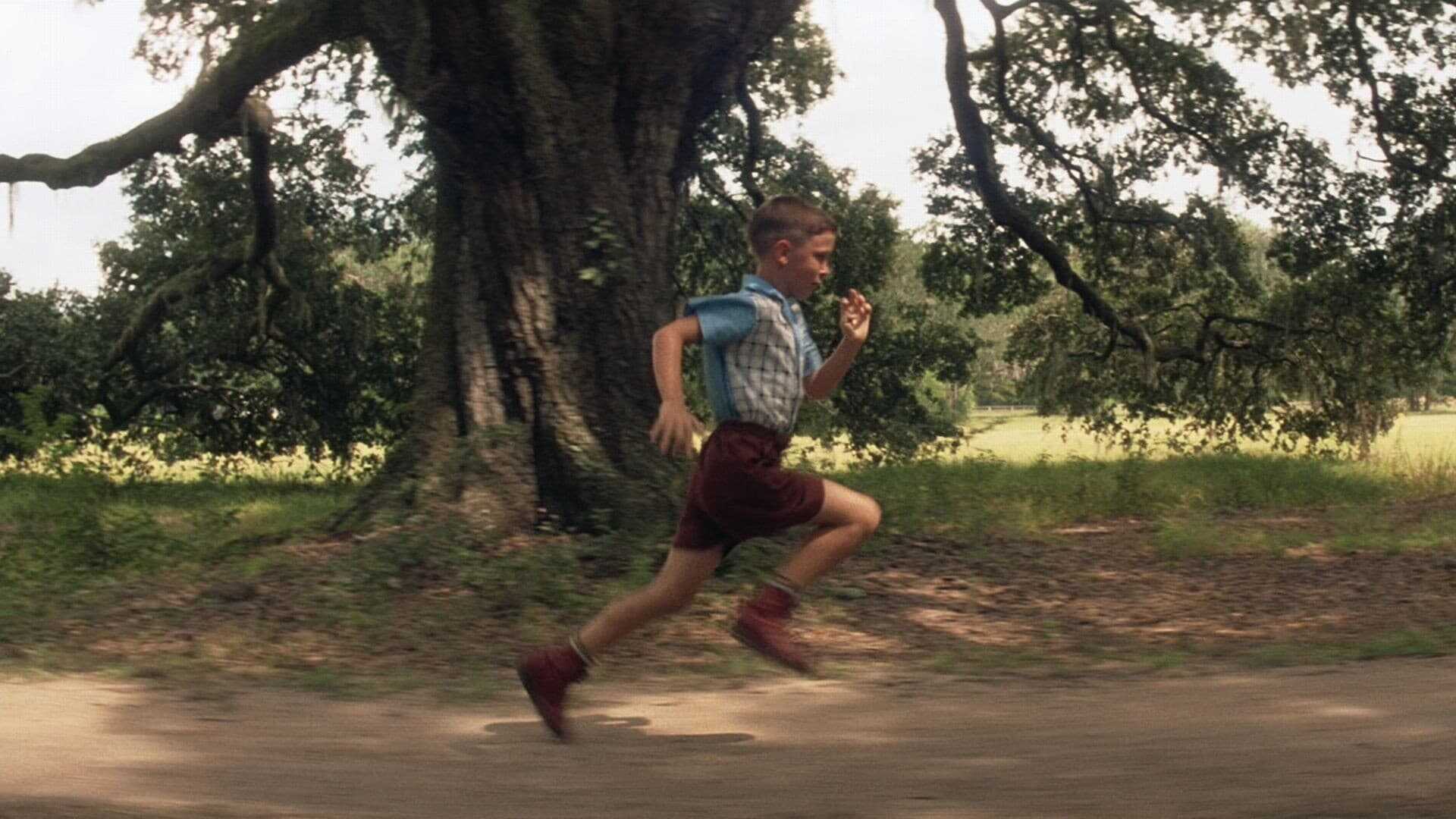 Forrest Gump 0