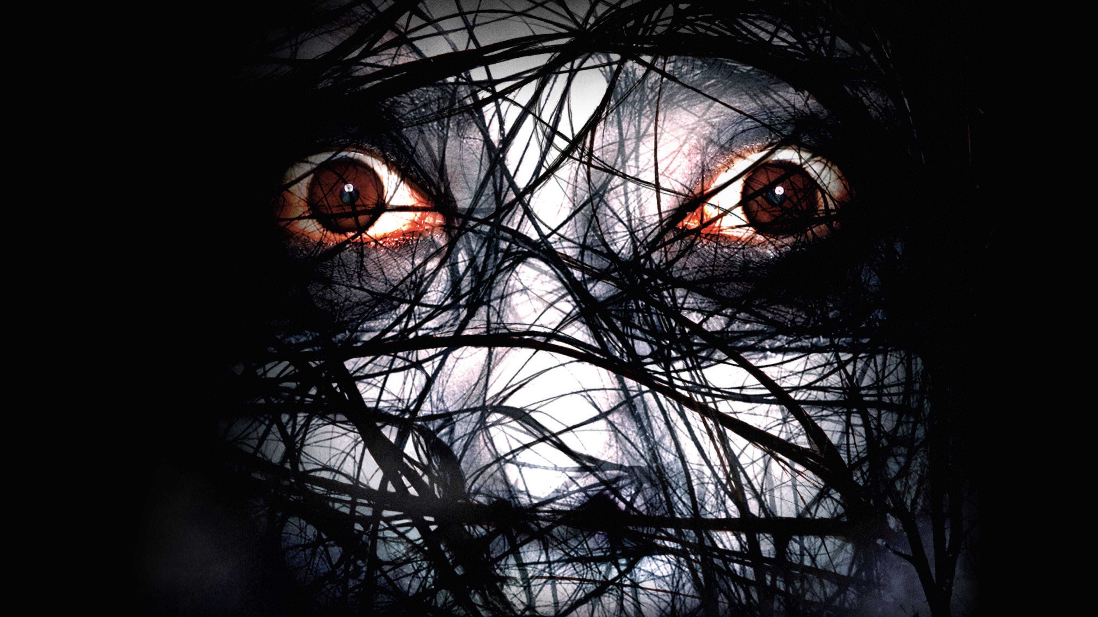 Ju-on: The Grudge 2 0