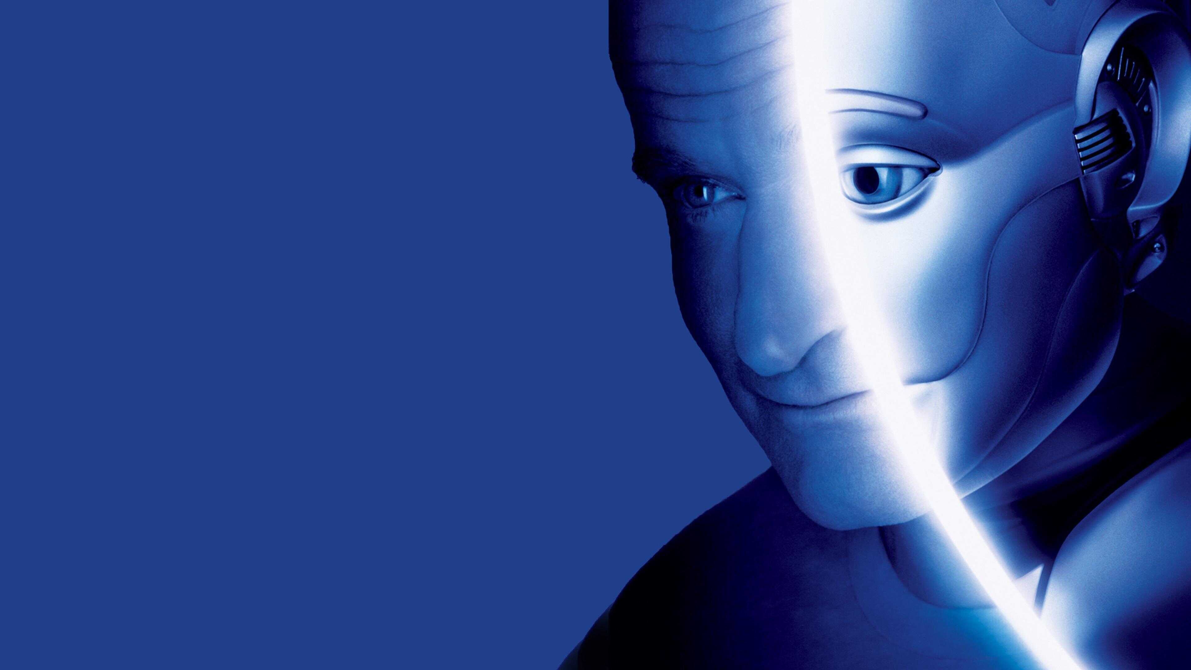 Bicentennial Man 2