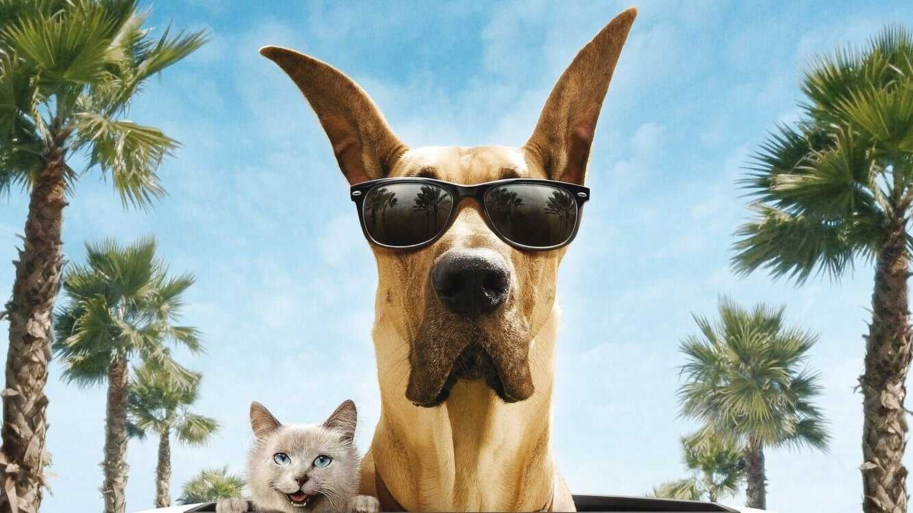 Marmaduke 0