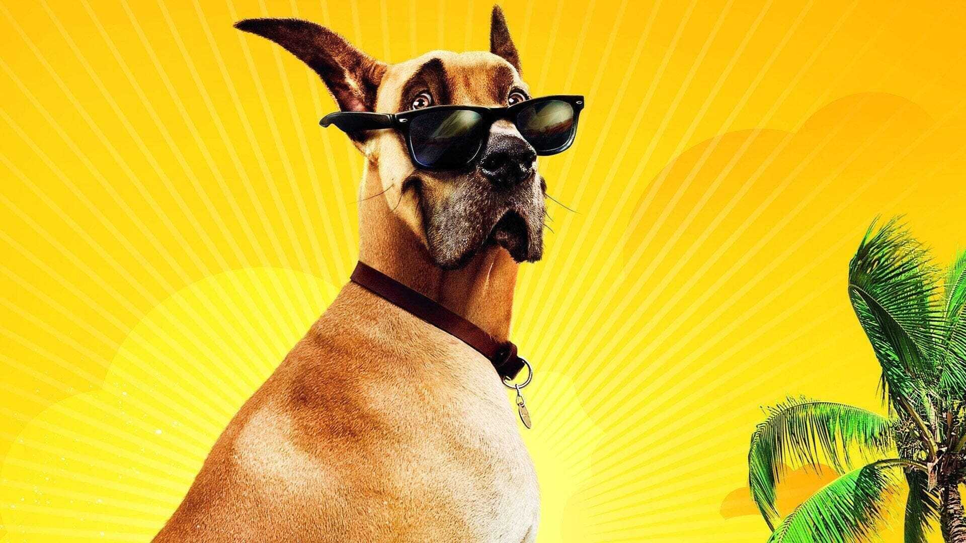 Marmaduke 1