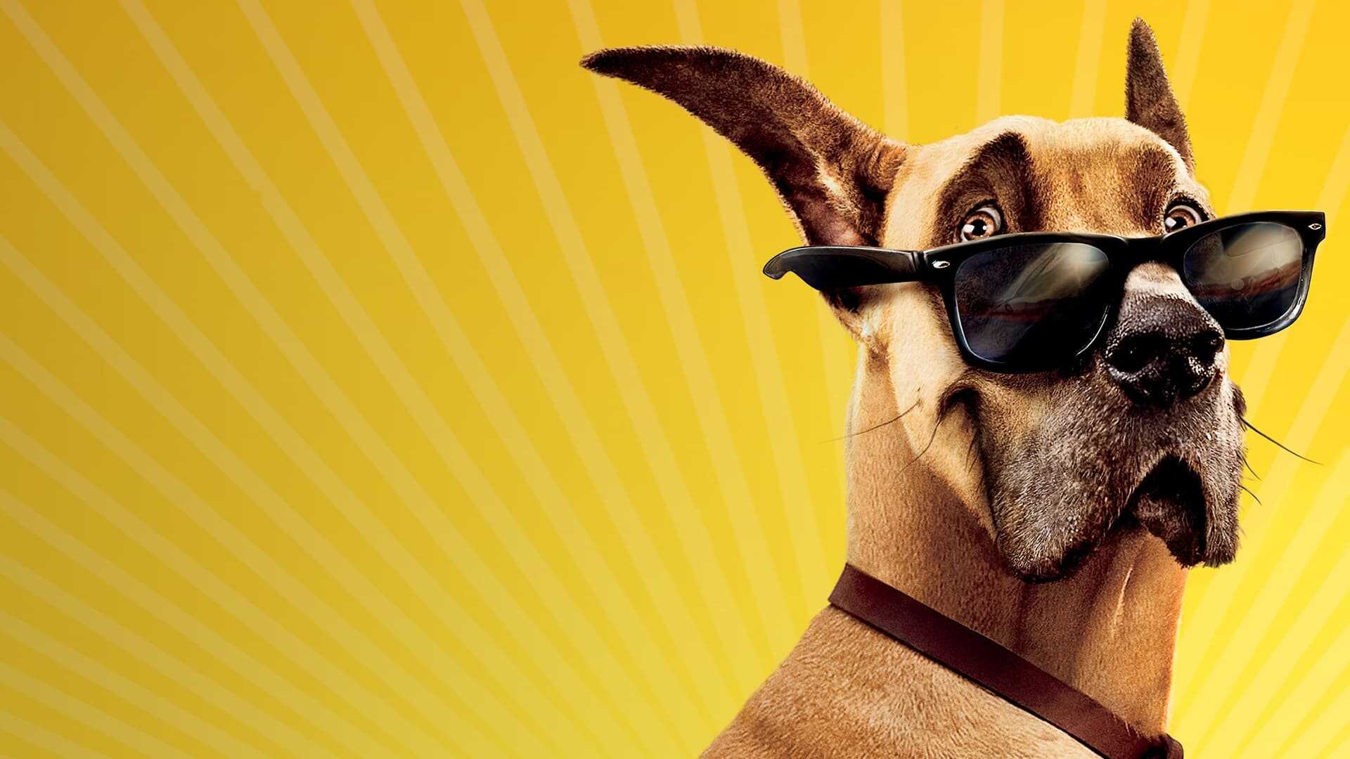 Marmaduke 4