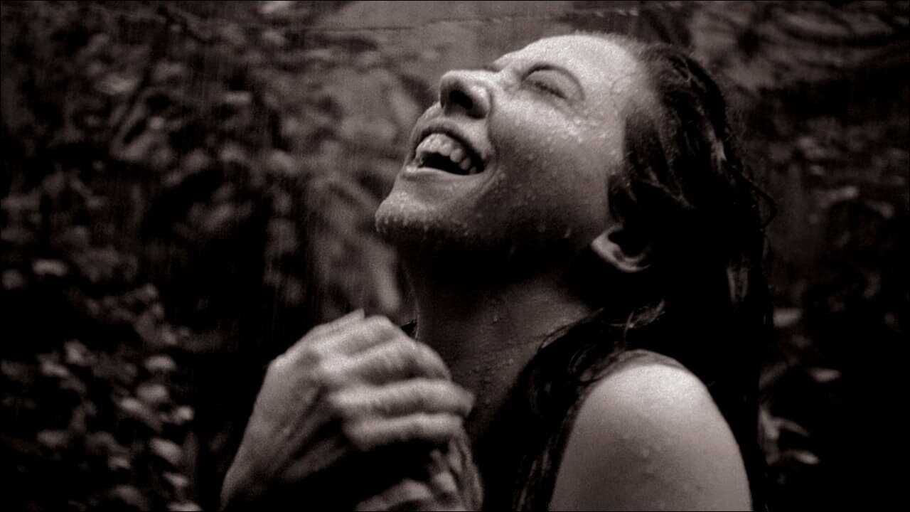 Cinema Novo 0