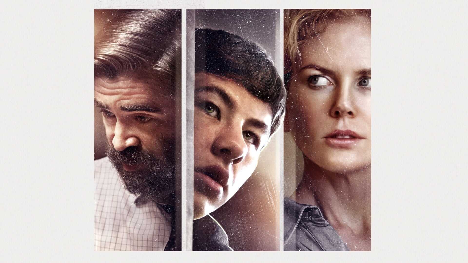 The Killing of a Sacred Deer 2