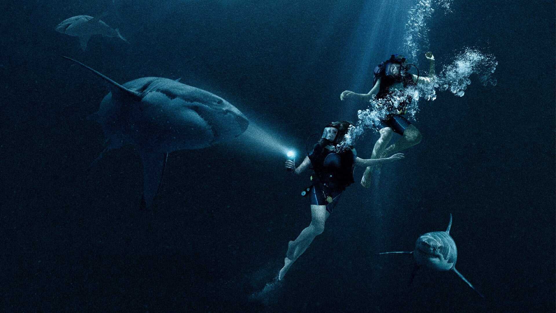 47 Meters Down 0