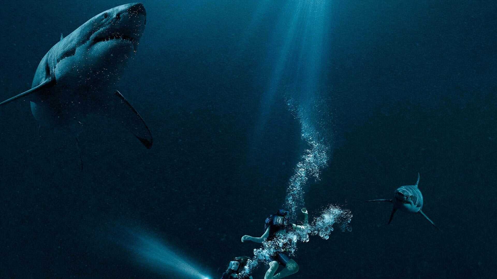 47 Meters Down 3