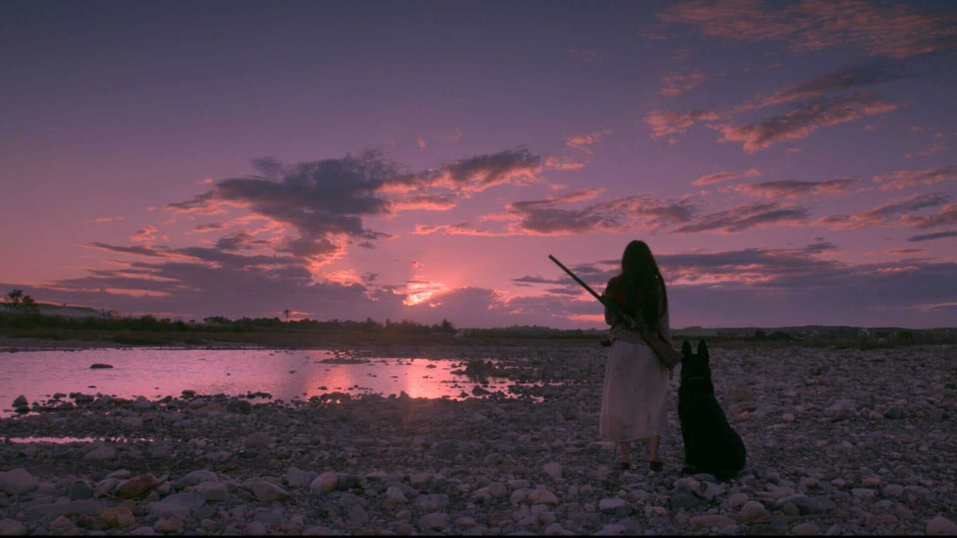 Birdshot 0