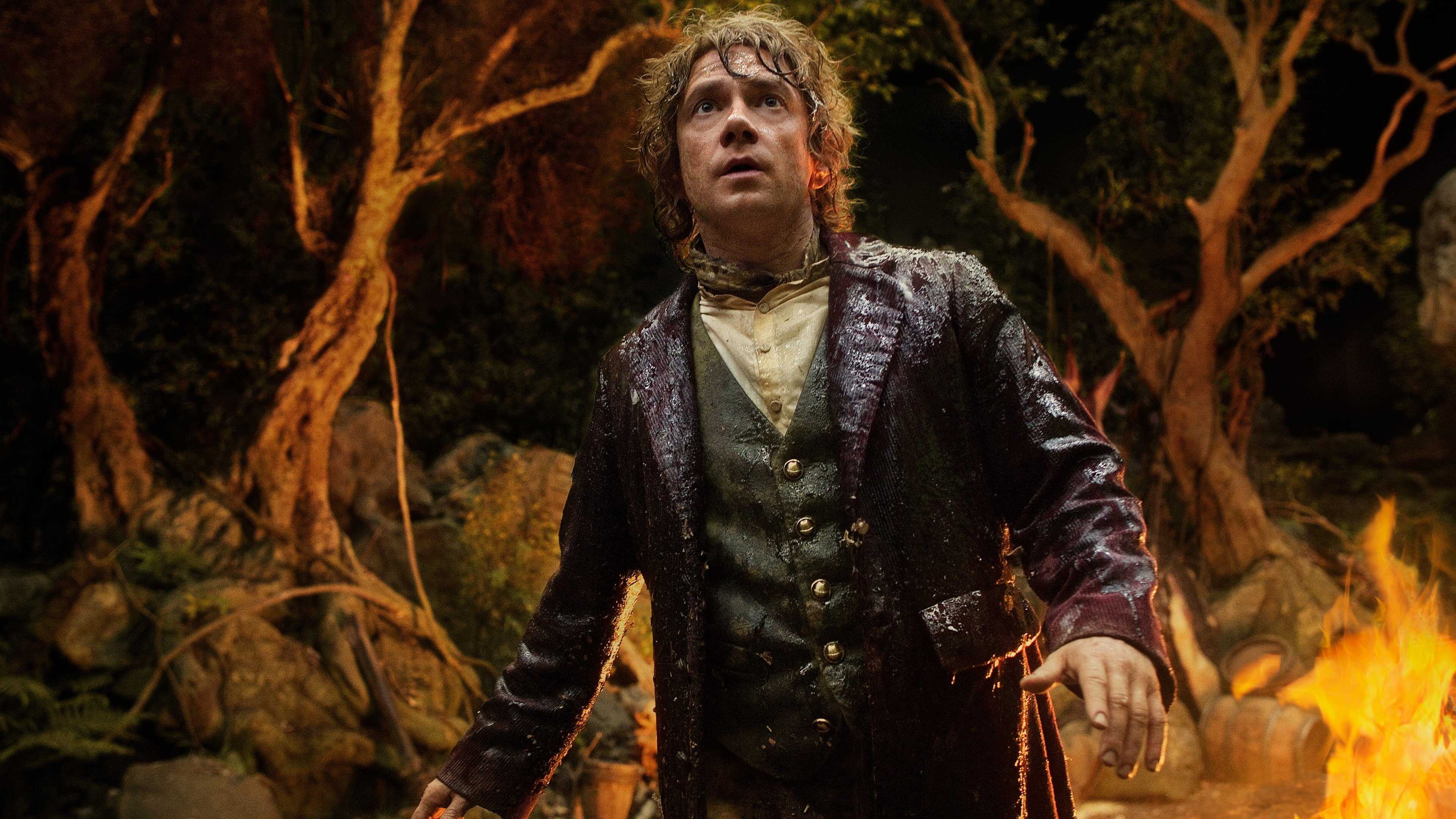 The Hobbit: An Unexpected Journey 3