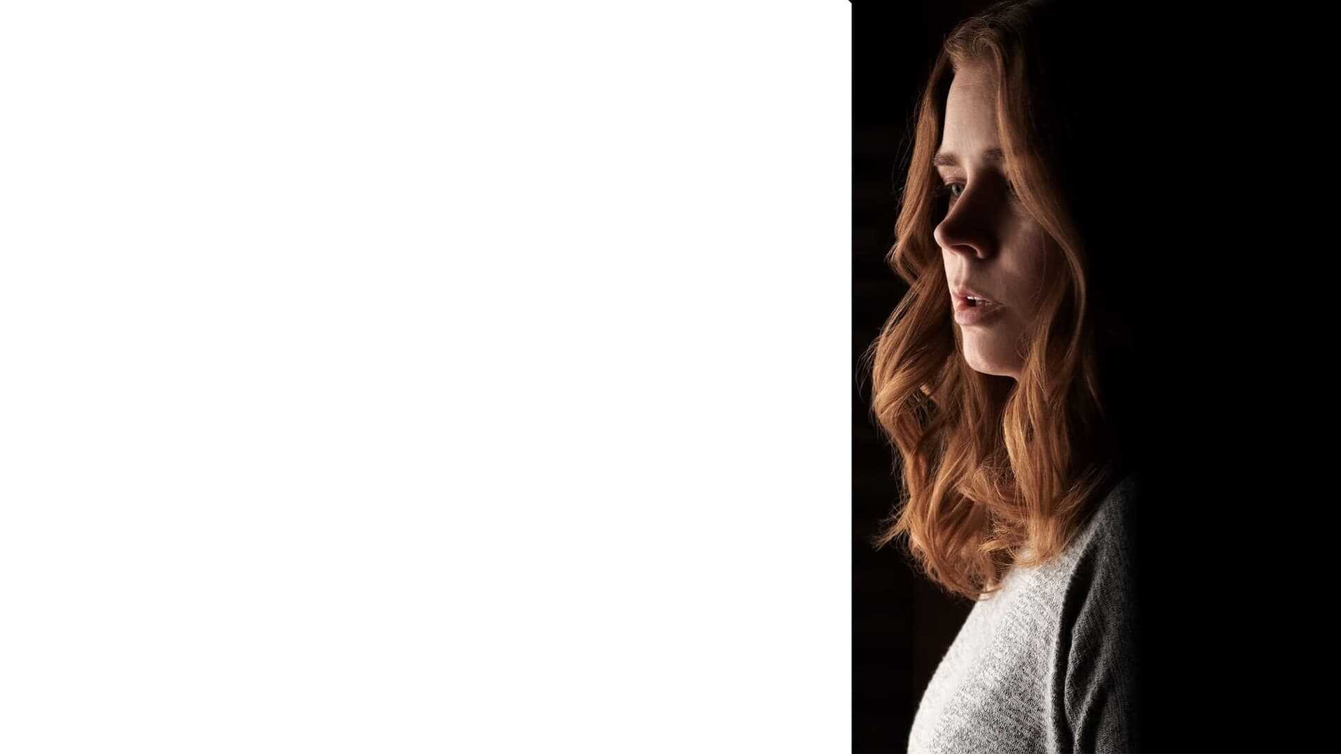 La donna alla finestra 1