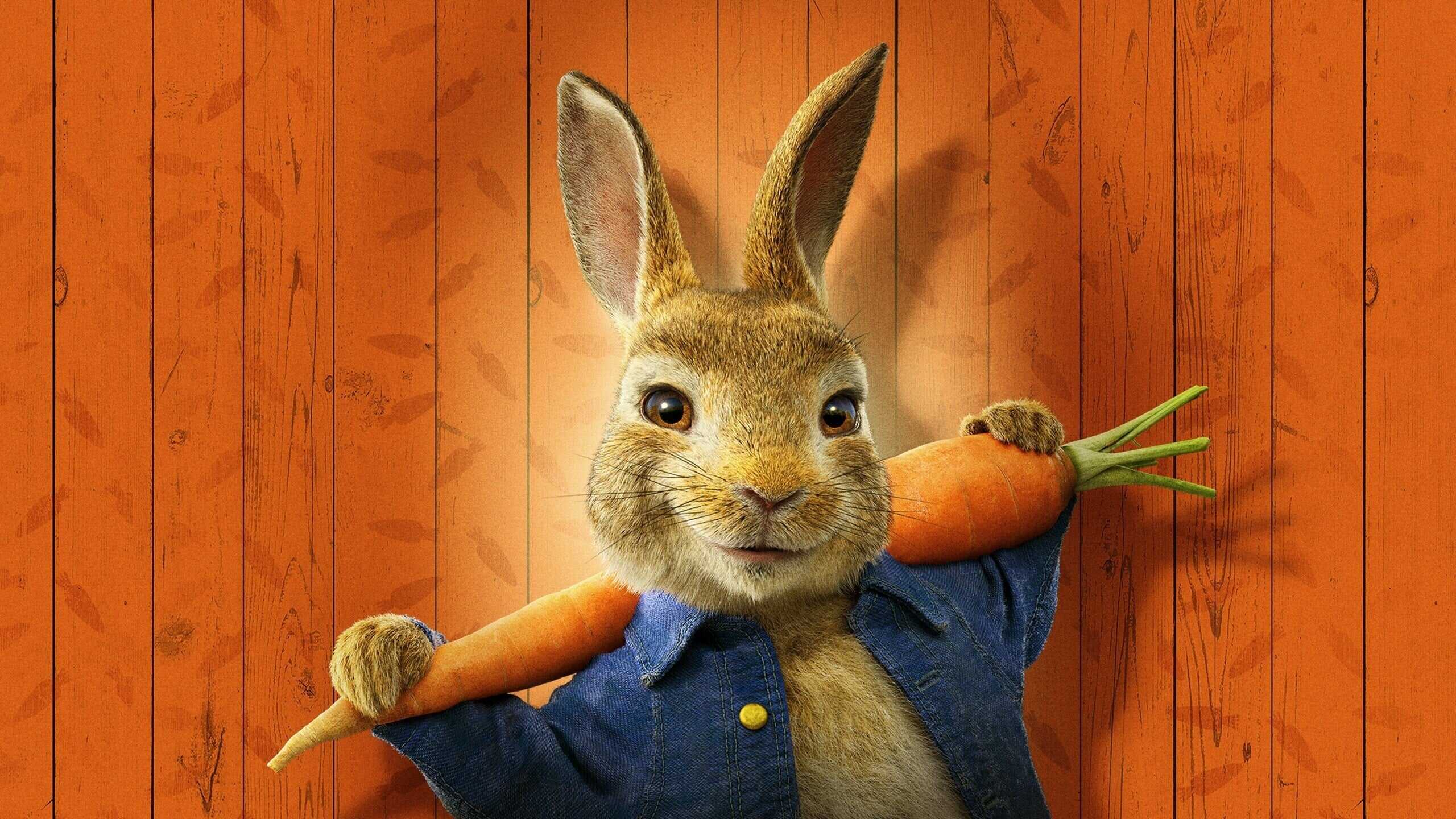 Peter Rabbit 2: The Runaway 1