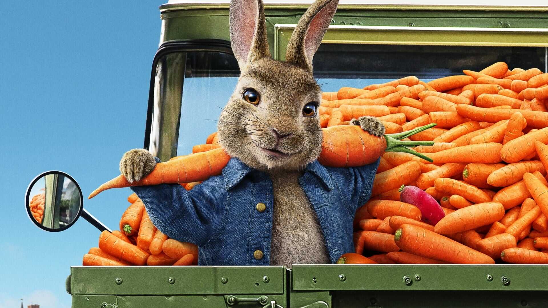 Peter Rabbit 2: The Runaway 2