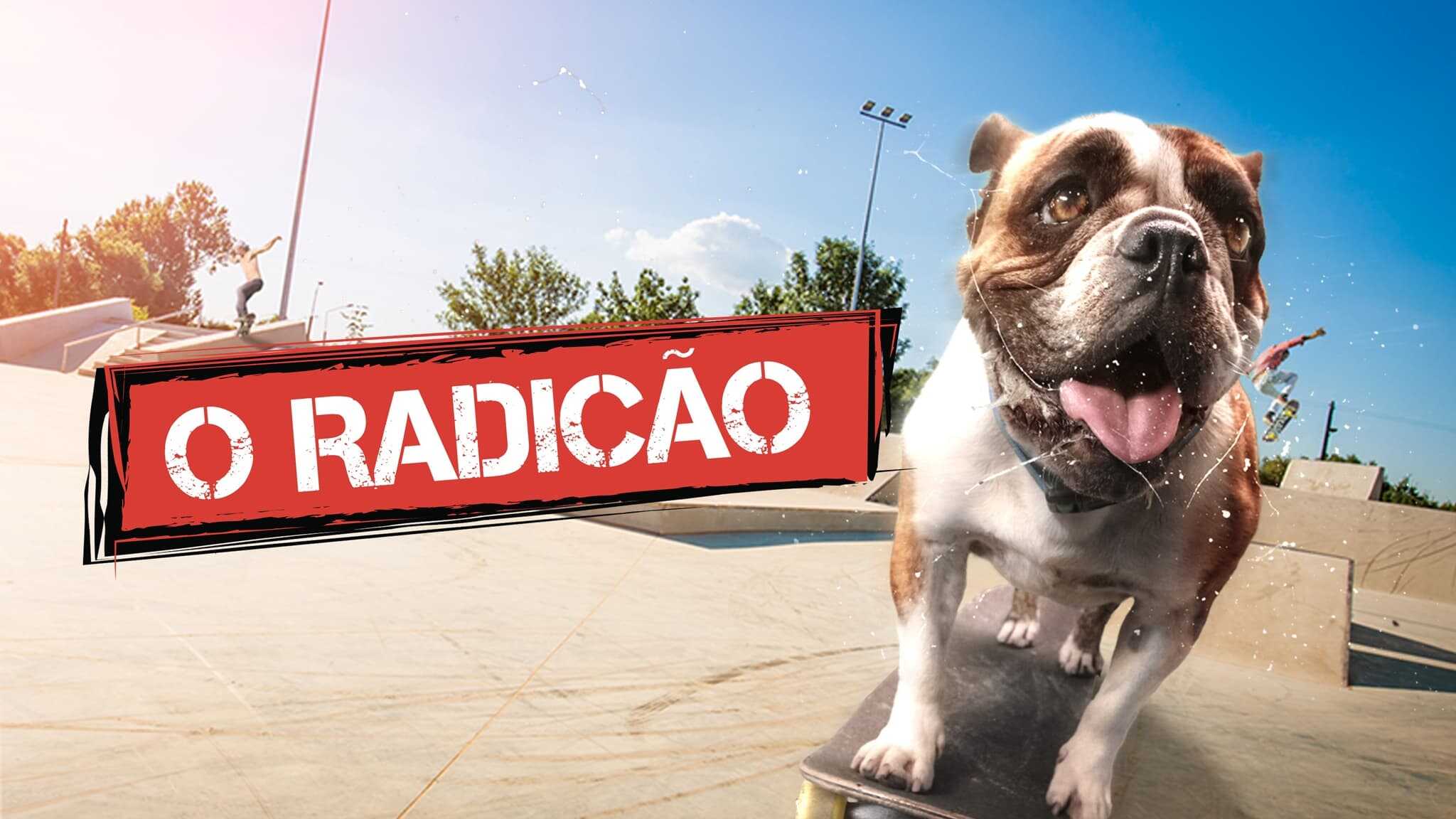 Sk8 Dawg 1