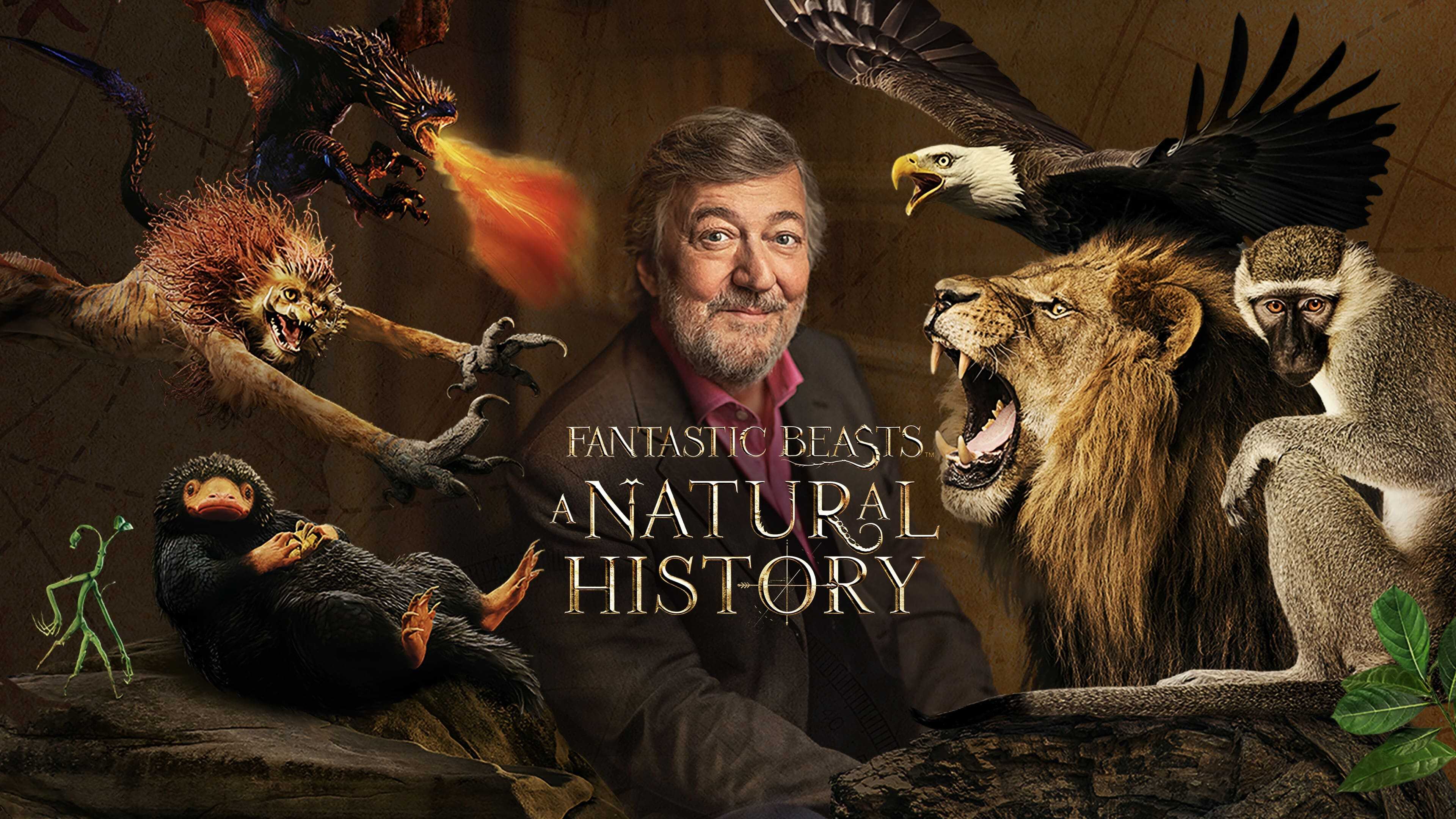 Fantastic Beasts: A Natural History 1