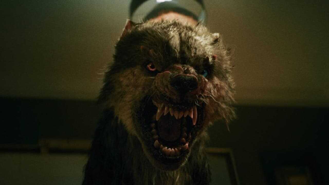 Viking Wolf 2