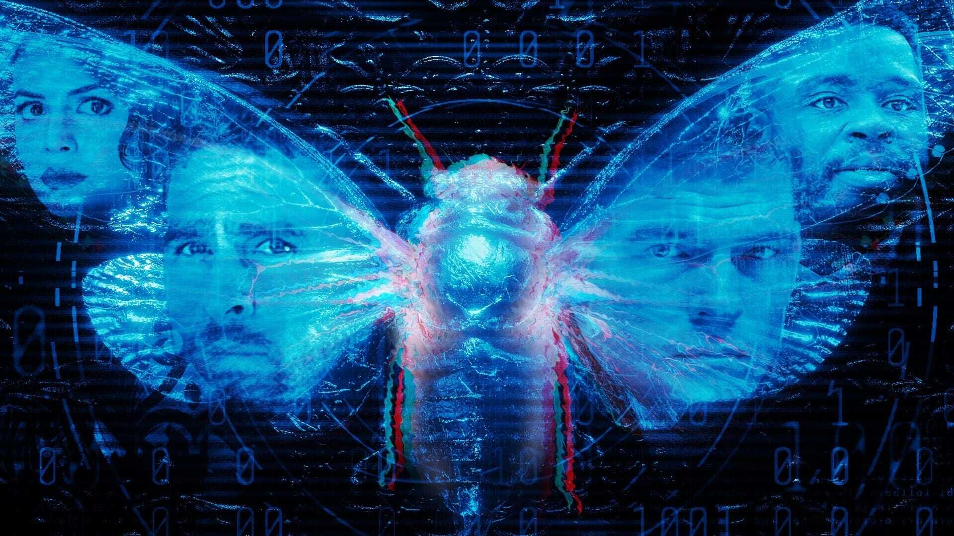 Dark Web: Cicada 3301 1