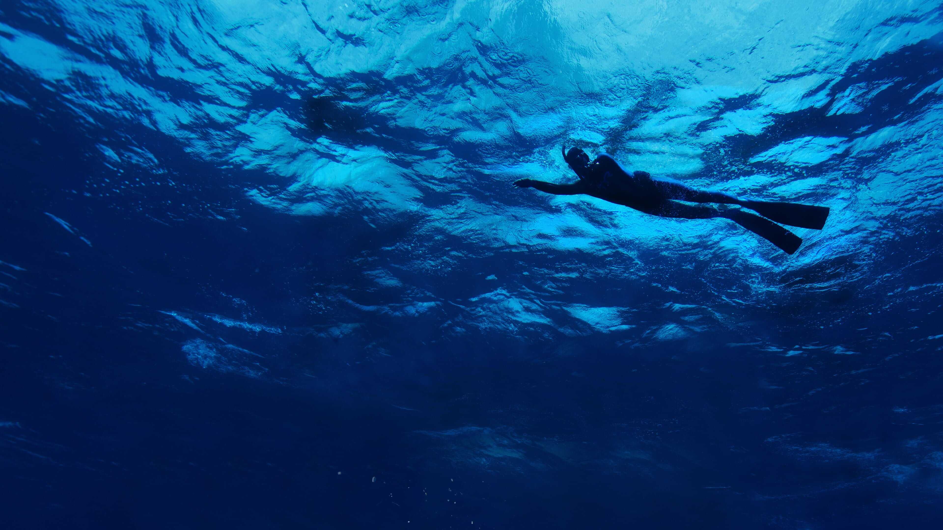 The Swim 0