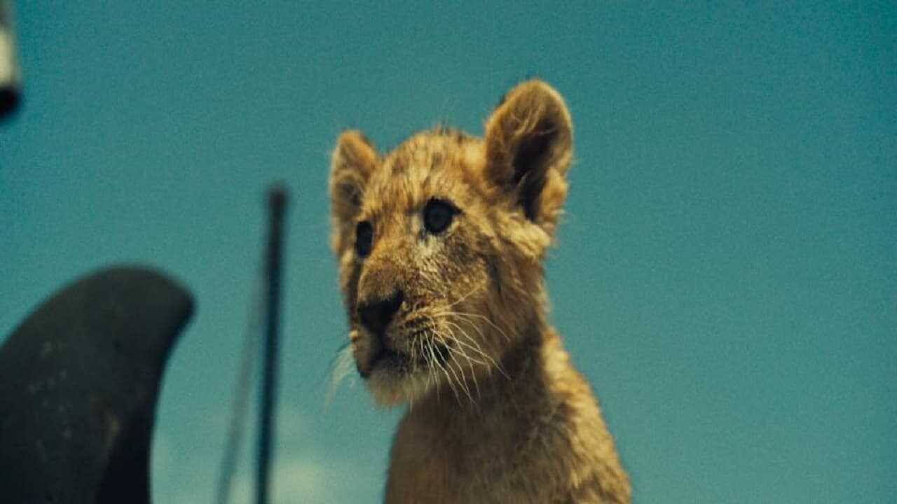 King 4