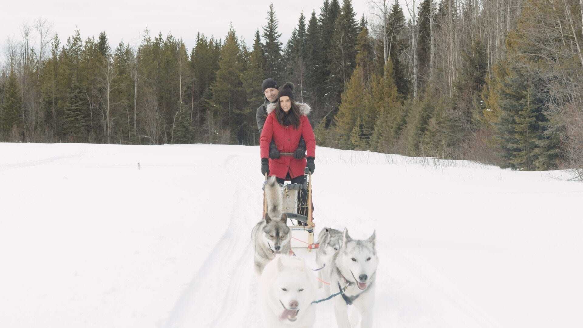 A Great North Christmas 4