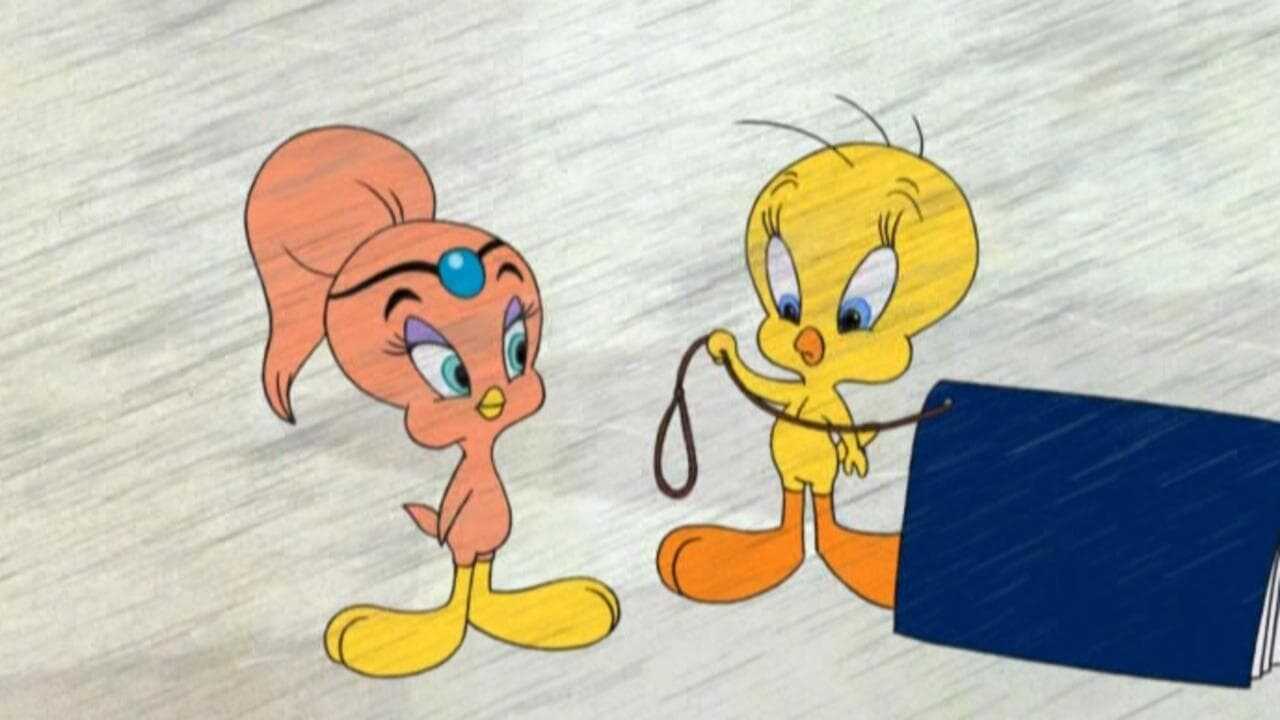 Tweety's High Flying Adventure 1