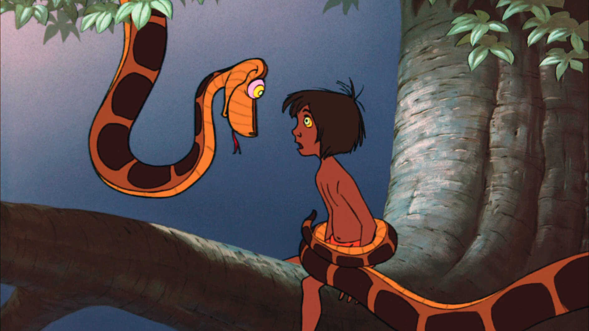 The Jungle Book 1