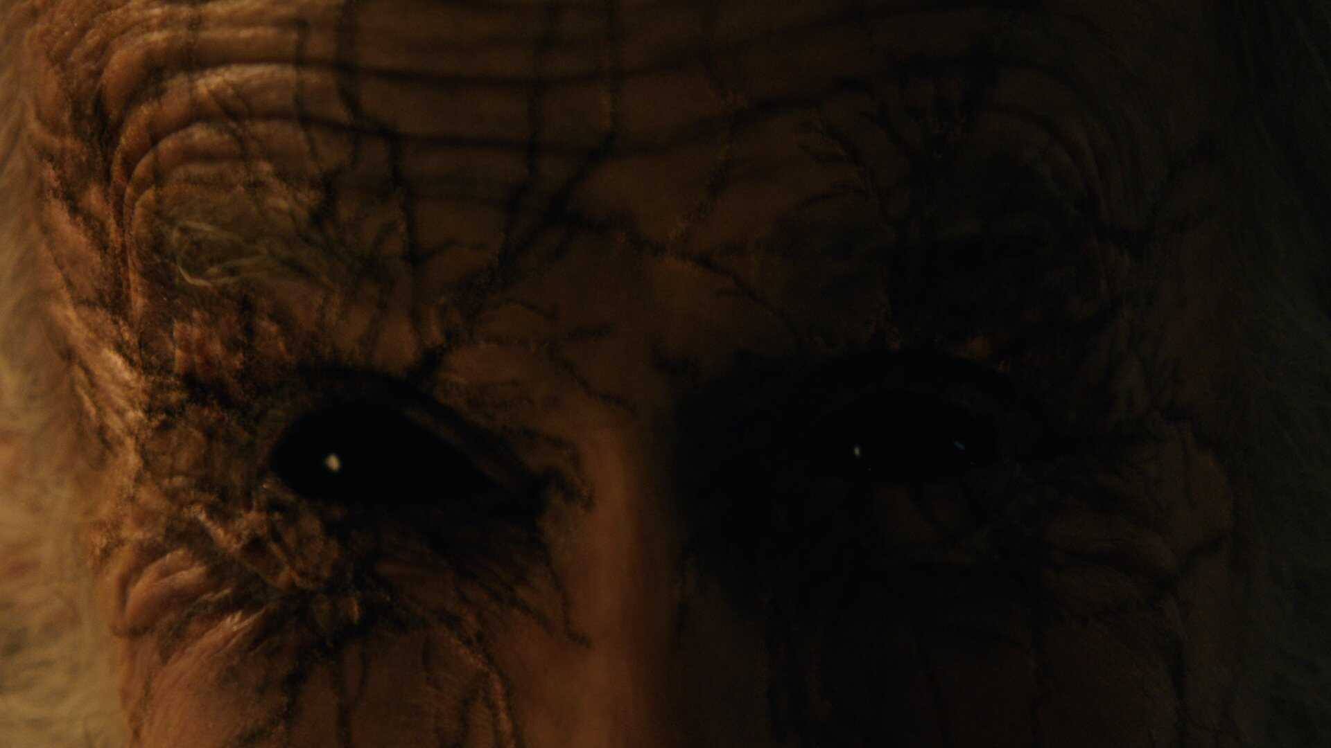 The Offering 1