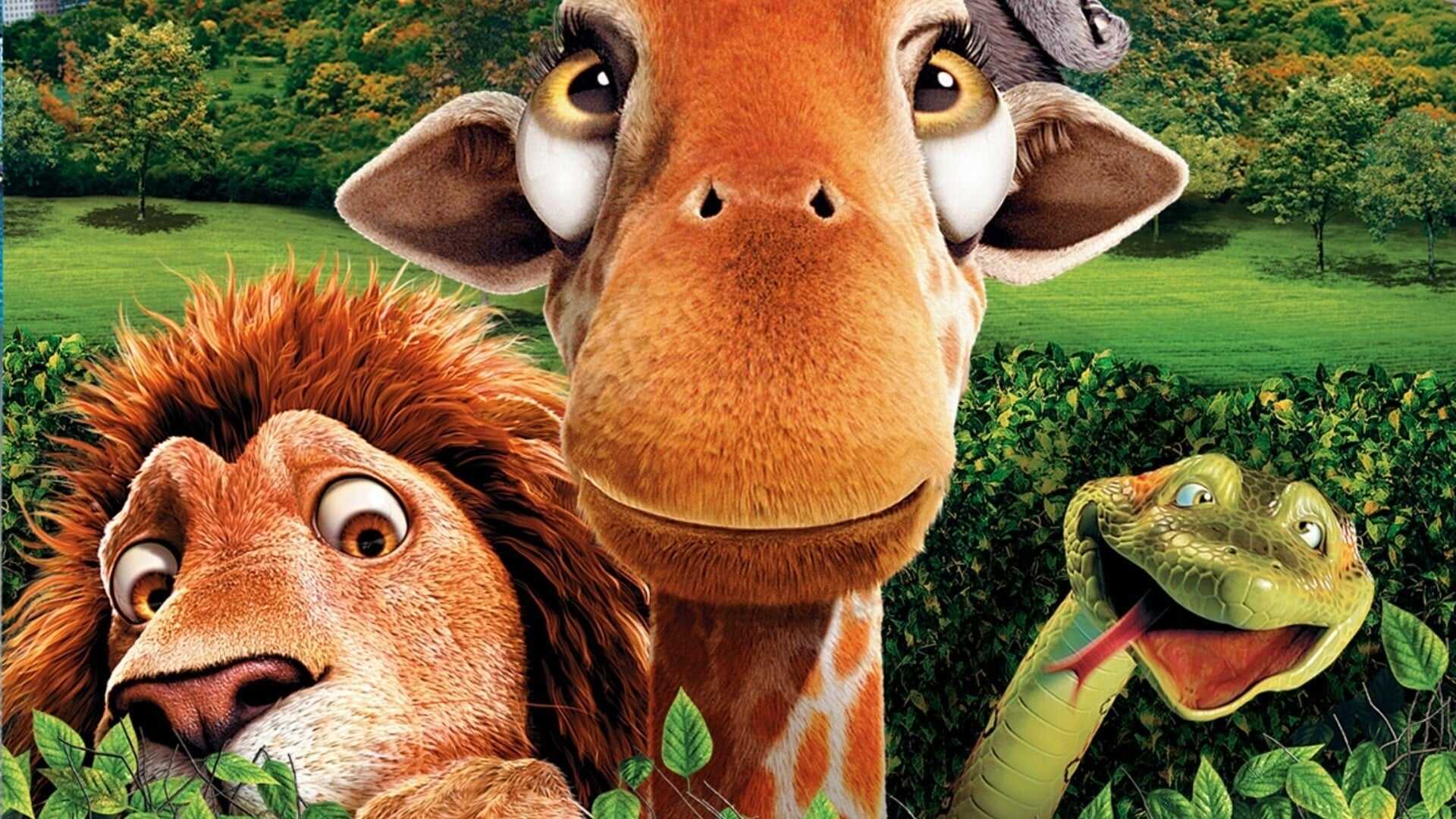 The Wild 1