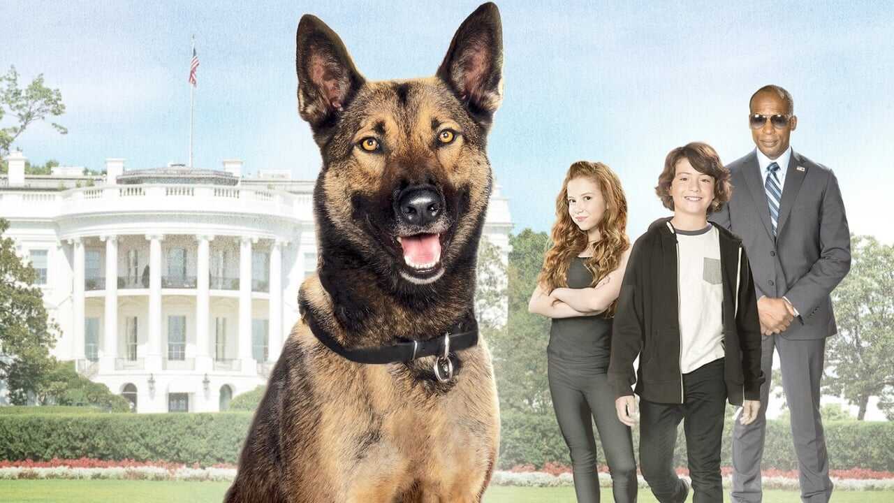 Max 2: White House Hero 0