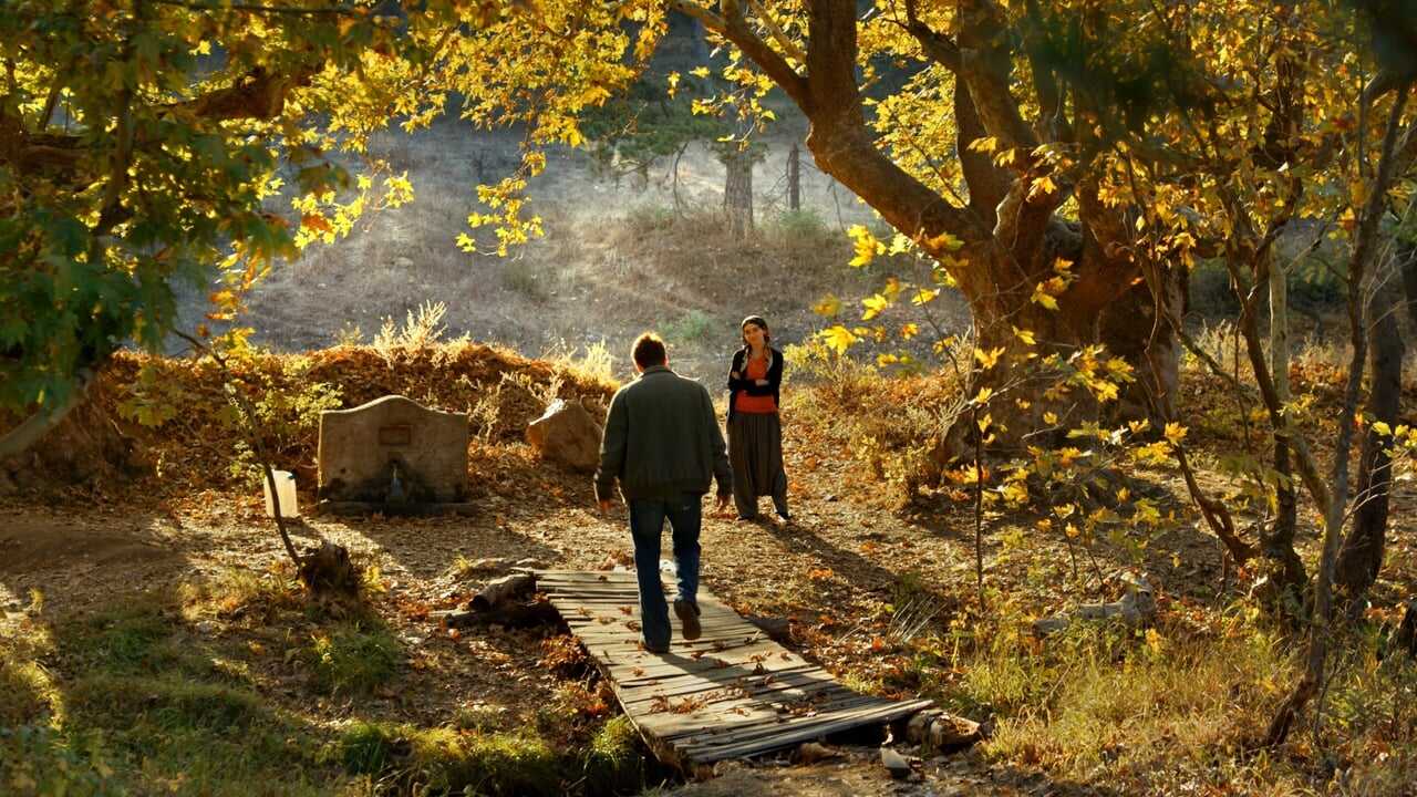 L'albero dei frutti selvatici 0