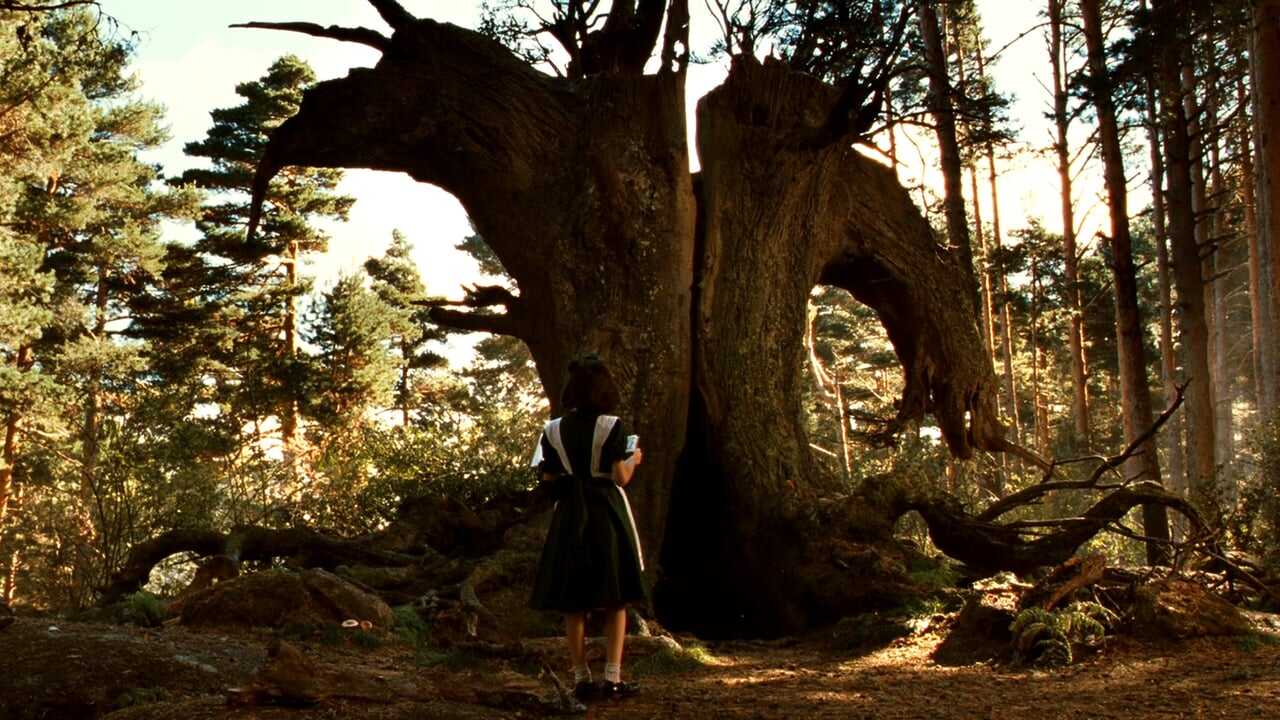 Pan's Labyrinth 0