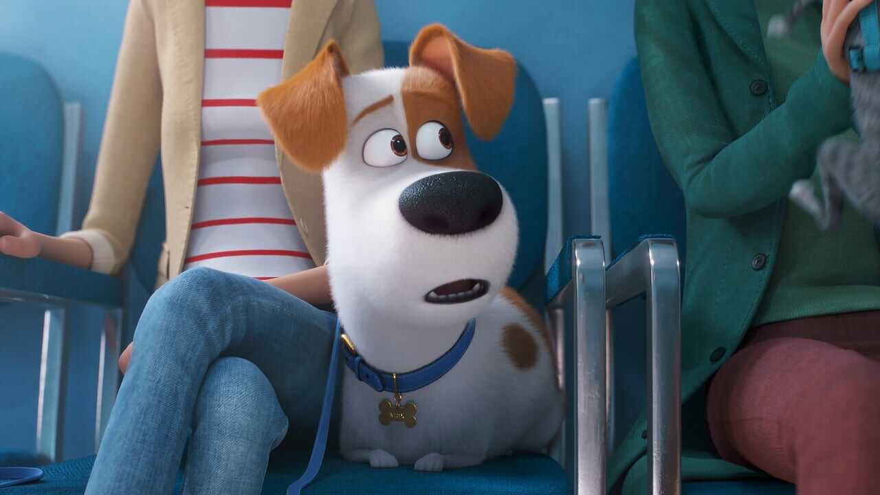 The Secret Life of Pets 2 0