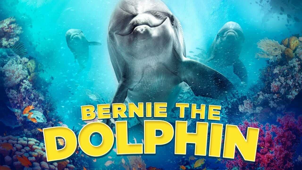 Bernie the Dolphin 2 0