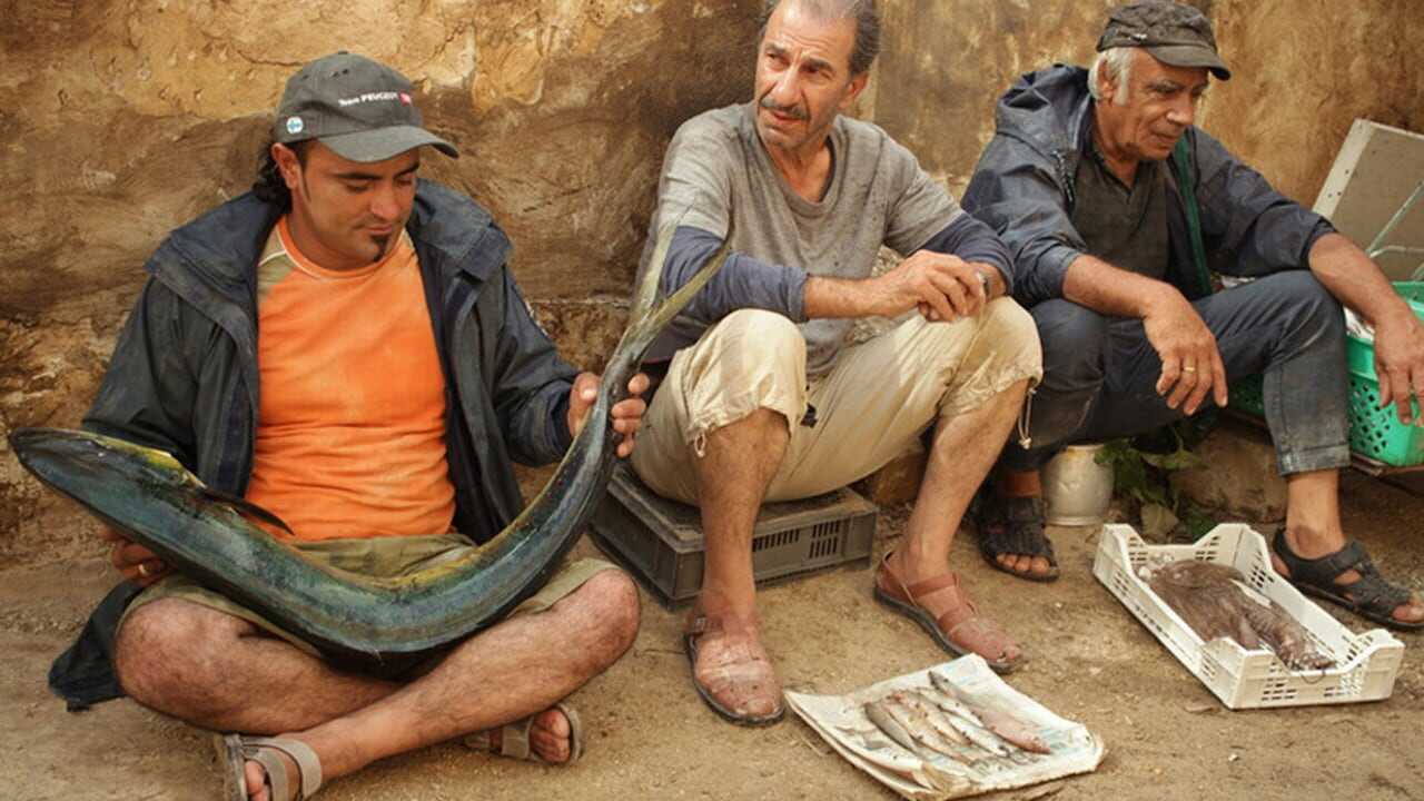 Um Porco em Gaza 0