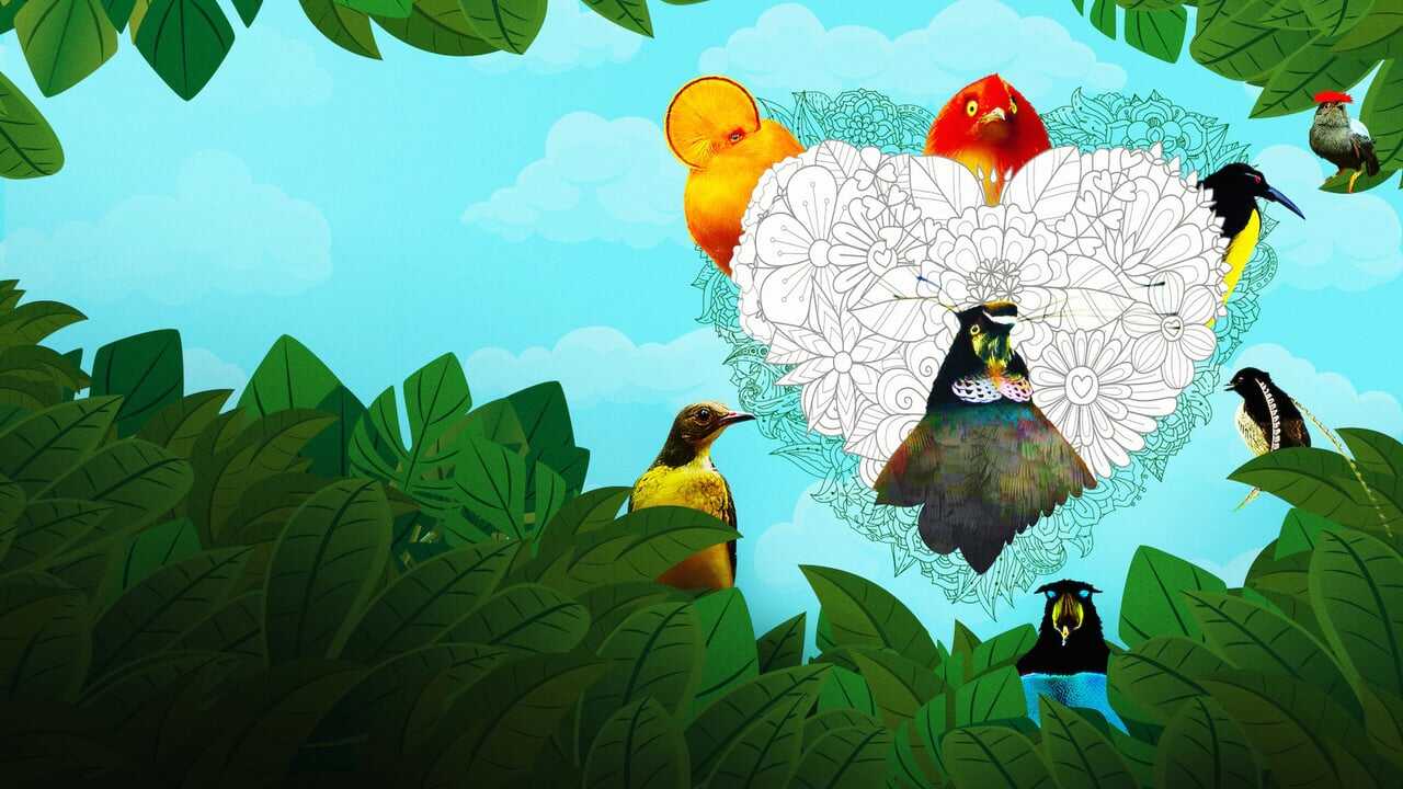 Dancing with the Birds 0