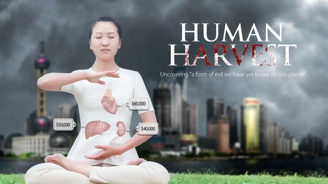 Human Harvest 0