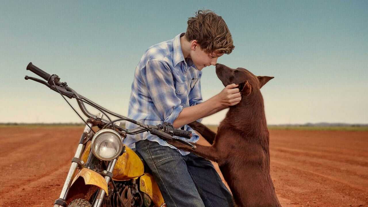 Red Dog: True Blue 0