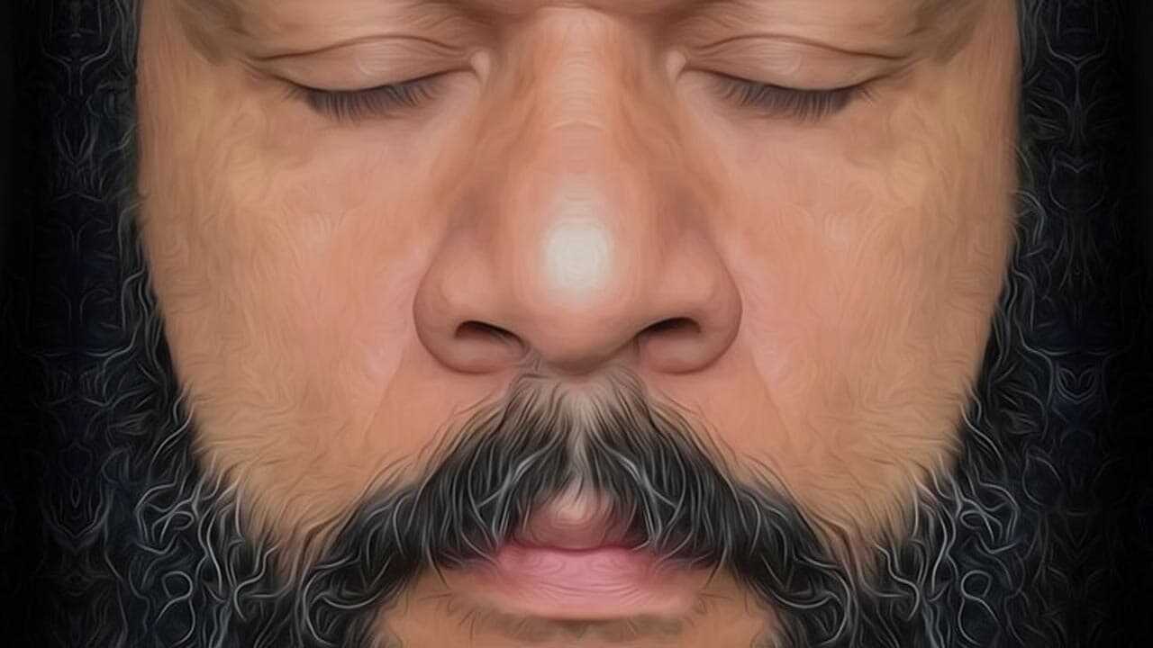 Dieudonné - La politique 0