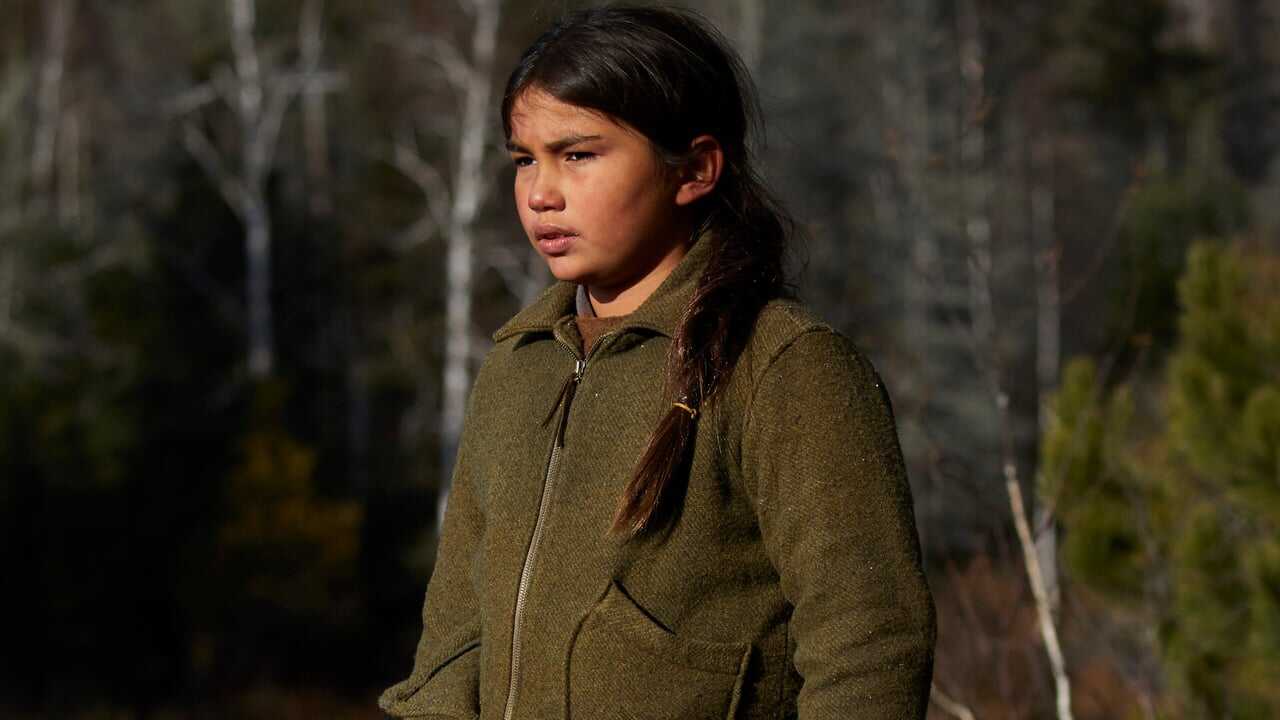 Indian Horse 0