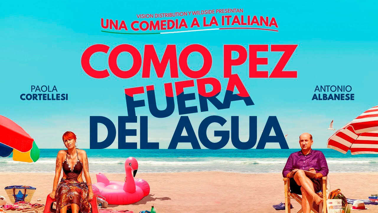 Come un gatto in tangenziale 0