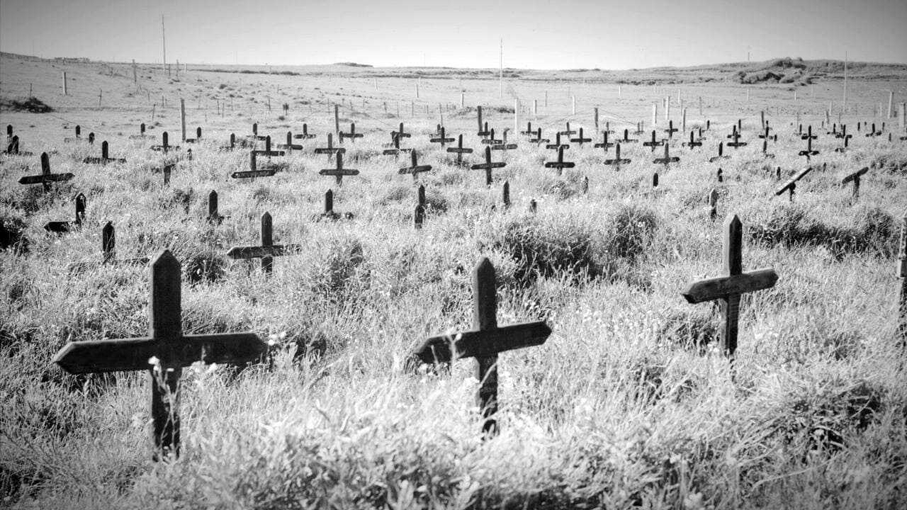Adolf Island 0