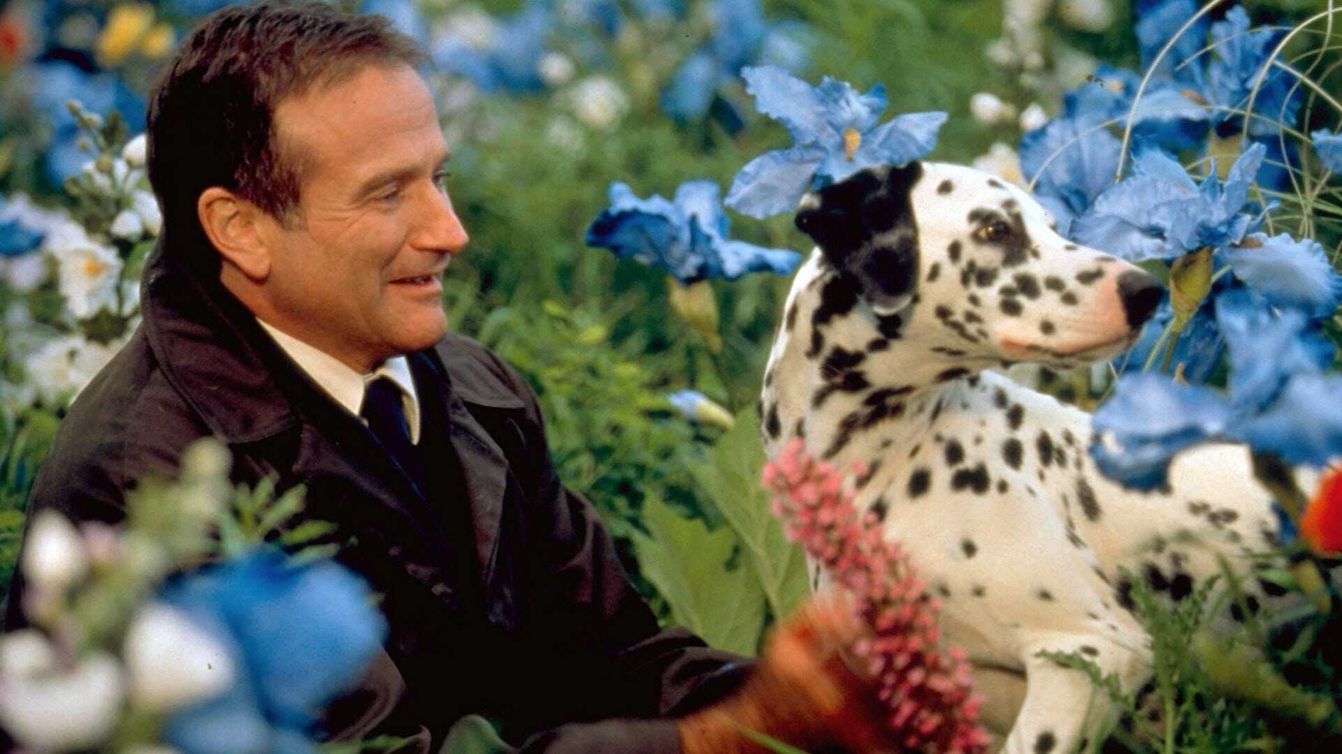 Au-delà de nos rêves 1