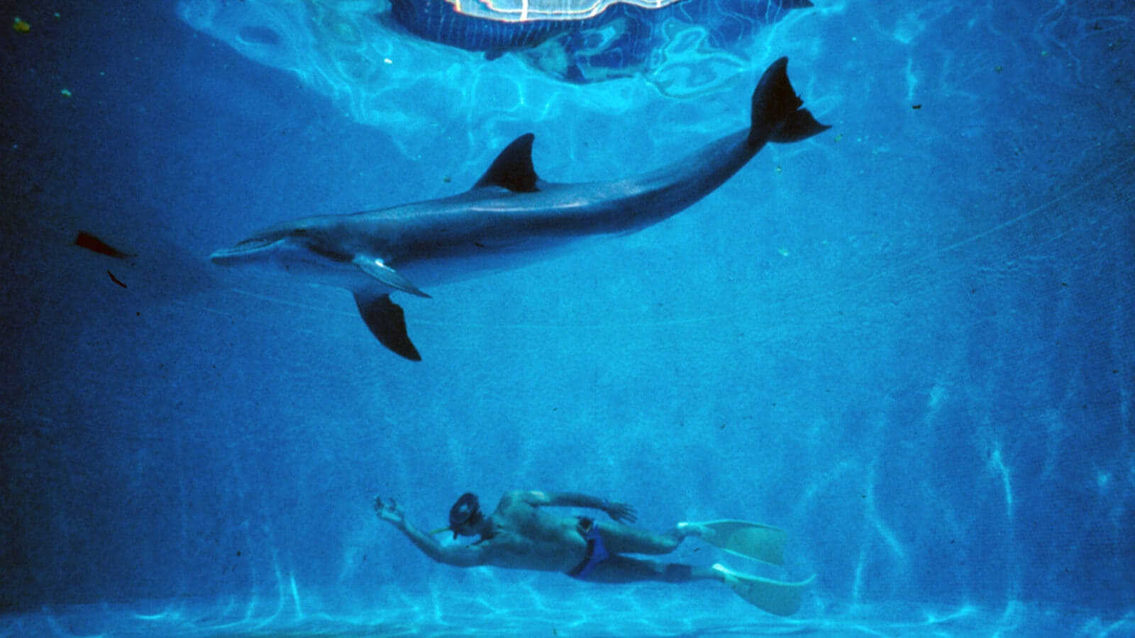 Le Grand Bleu 3