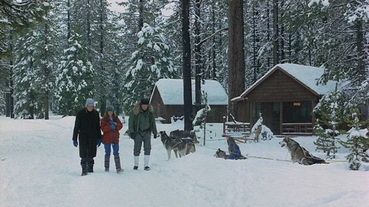 The Survivors 0