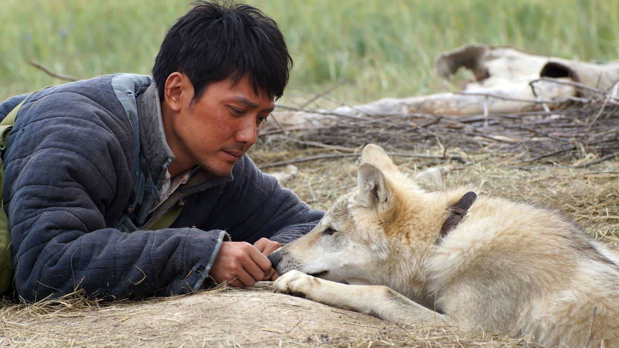 Le dernier loup 0