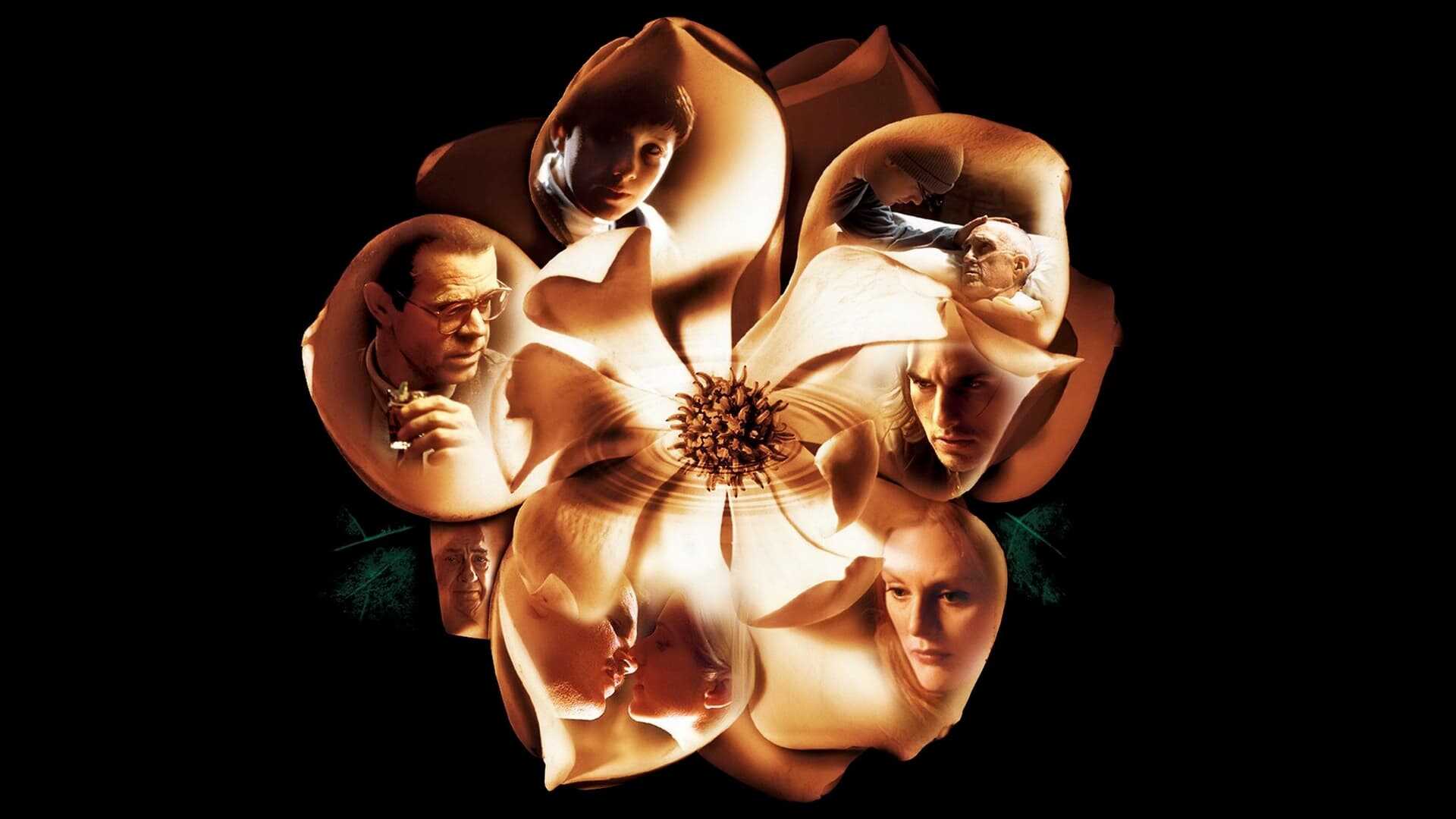 Magnolia 2