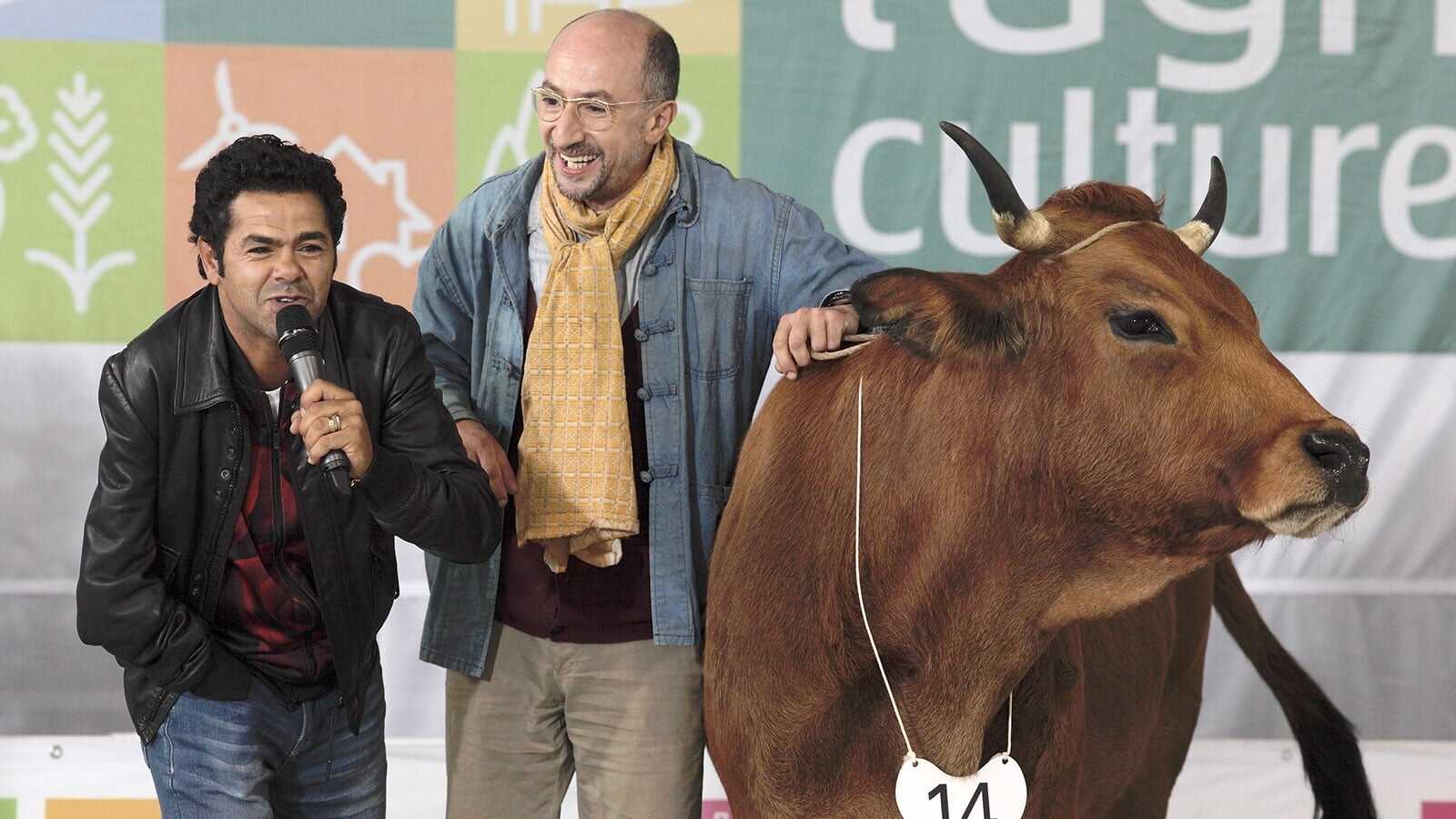 La Vache 3