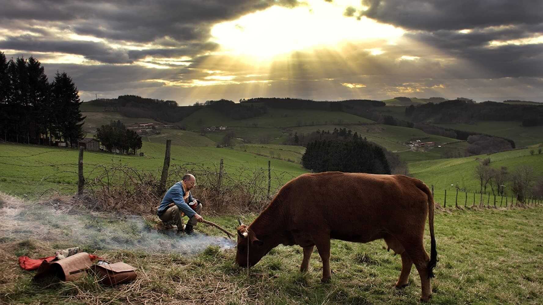 La Vache 4