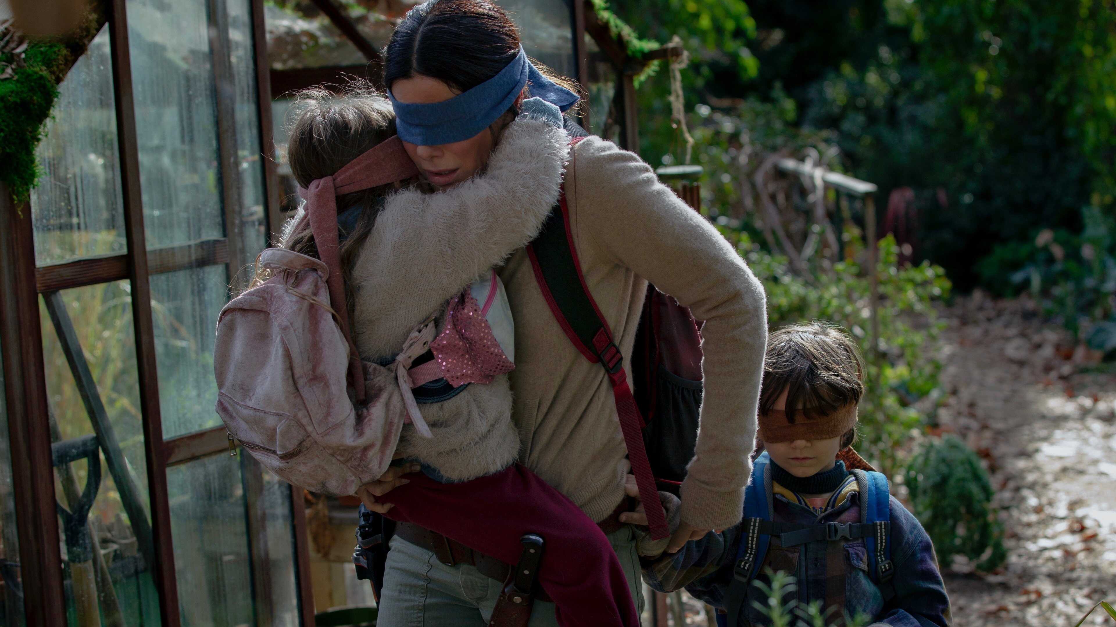 Bird Box 1