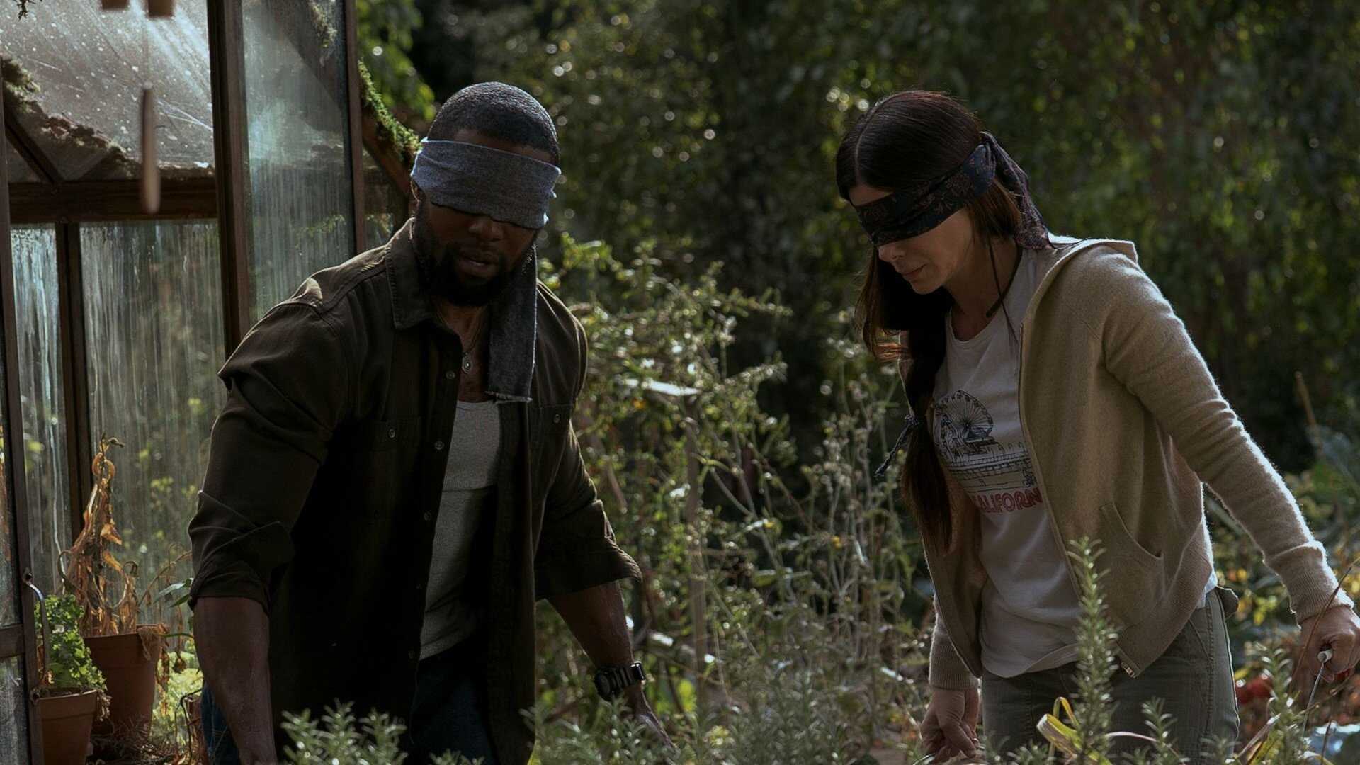 Bird Box 2